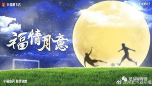 月亮是足球吗？一场关于天体与球类的奇幻遐想