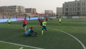 足球比赛能用手运球射门吗？规则与争议解析