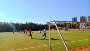 哪所大学足球场最佳？探寻绿茵场上的热血与激情