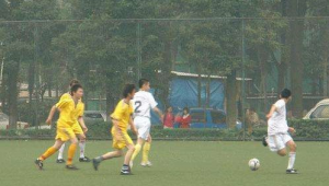 2005年踢足球的人多吗？探寻那个时期足球运动的热度真相