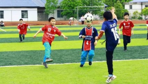 足球课是否需要买球鞋？一文为你解析其中利弊