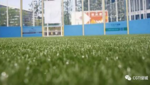 耕地可以建足球厂吗