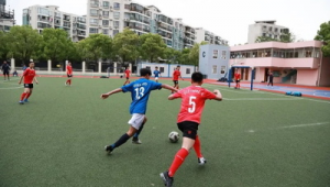 学校是否有篮球足球共135个？这背后有着怎样的情况