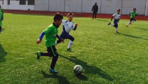 乐清足球好去处，探寻踢足球的优质场地推荐