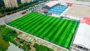 上海闵行区足球场免费情况究竟如何？一文为你揭晓答案