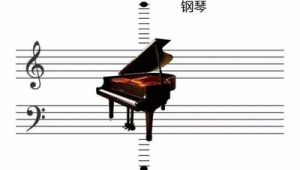 弹钢琴与踢足球冲突吗?探索两者能否并行的音乐与运动之路