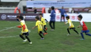 乐清足球去哪踢球的