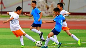 小学是否只有足球没有篮球？探寻校园球类运动现状