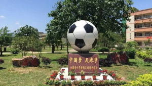 中国足球多年沉浮,如今还能像往昔那般“牛”吗?