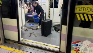 足球能过地铁安检吗?一文为你揭晓答案