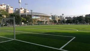 恒大是否拥有高尔夫足球场