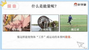 踢足球进渔网是否违法，你知道答案吗？