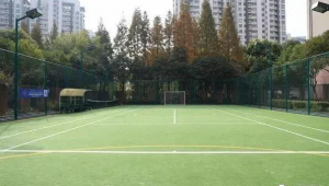 有足球球场的小区多吗？探寻足球融入社区生活的现状