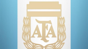 阿根廷足球能否战胜越南?实力对决引发诸多猜想