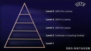 中国足球教练证今年到底有没有用