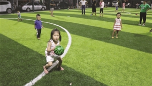 小区自建足球队是否合法？一文带你深入剖析相关要点