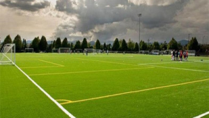 足球与棒球能否共用球场？探讨两种球类场地使用的可能性