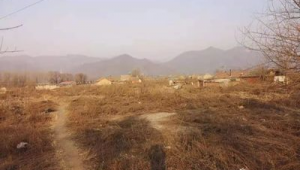 孩子流鼻涕时能否踢足球?这些要点需知晓