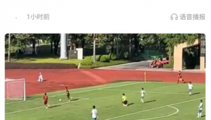 足球大赛：是否存在踢假球现象？背后真相究竟如何？