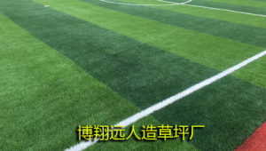 现在出口足球成本高吗？解析当前足球出口成本现状