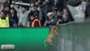 足球输了是否要罚款?当下这一话题引发热议