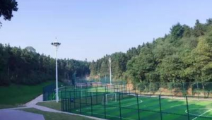 铁岗足球公园钓鱼收费情况究竟如何?快来一探究竟!