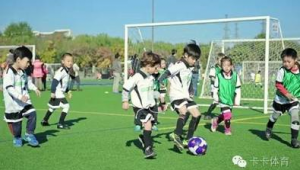 踢足球能让脚变长吗？真相究竟如何，一起来揭开谜底