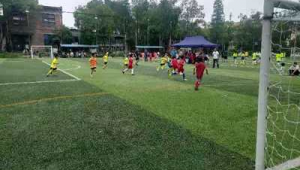 罗湖足球场未成年能否租赁?相关情况需了解