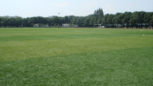 湖州足球场现在价格便宜吗