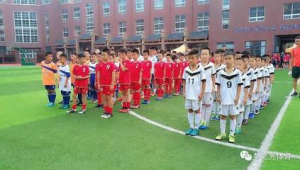 中国足校算校园足球吗？探究其在校园足球范畴内的定位与意义