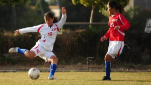 女生懂足球看足球的多吗？探究女性在足球领域的参与度与认知度