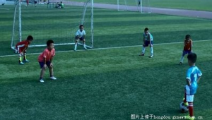 足球场上能否抢球？规则界限与赛场风云的碰撞探讨