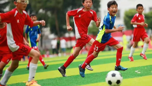 儿童足球外出比赛费用几何?高不高引发关注与思考