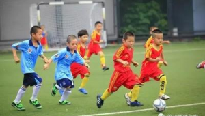徐州学足球好去处，带你探寻提升足球技能的优质之地