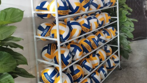 仓库里究竟有没有足球、篮球和排球？