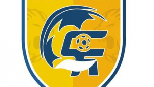 足球培训注册哪类商标最佳，一文为你深度剖析商标选择要点