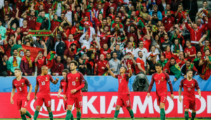 葡萄牙足球观众热度探秘：球迷数量究竟几何？