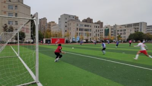 足球踢到对方球门是否犯规?规则详解与争议探讨