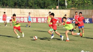 中国足球还要规划吗：现状、争议与未来发展方向之探讨