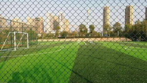 光谷有免费足球场吗？一文带你探寻光谷免费足球场的真相