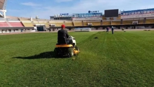 足球场平整后是否需要浇水？影响因素与实际考量