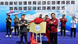 青岛港还能投资足球吗:前景、挑战与思考