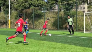 沙井附近能否看足球？探寻周边足球观赏好去处