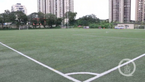 重庆有标准足球场吗