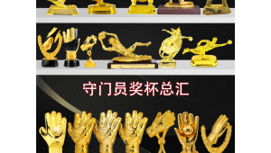 足球金球奖起始年份揭秘：从何时开启这一足坛荣耀篇章