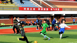 淄博有足球场吗今年