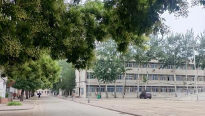 固安现在有足球馆吗