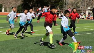 足球可以胯下运球吗？探讨足球独特运球技巧的可能性