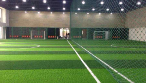 颠覆室内足球馆违法遭举报,背后真相究竟如何?