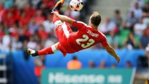 鱼跃扑球是否为足球术语?揭秘这一动作背后的运动归属